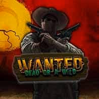 Wanted Dead or a Wild